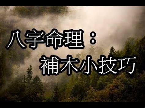 補木 五行|【五行補木】五行缺木？用這16招輕鬆補木，招好運！